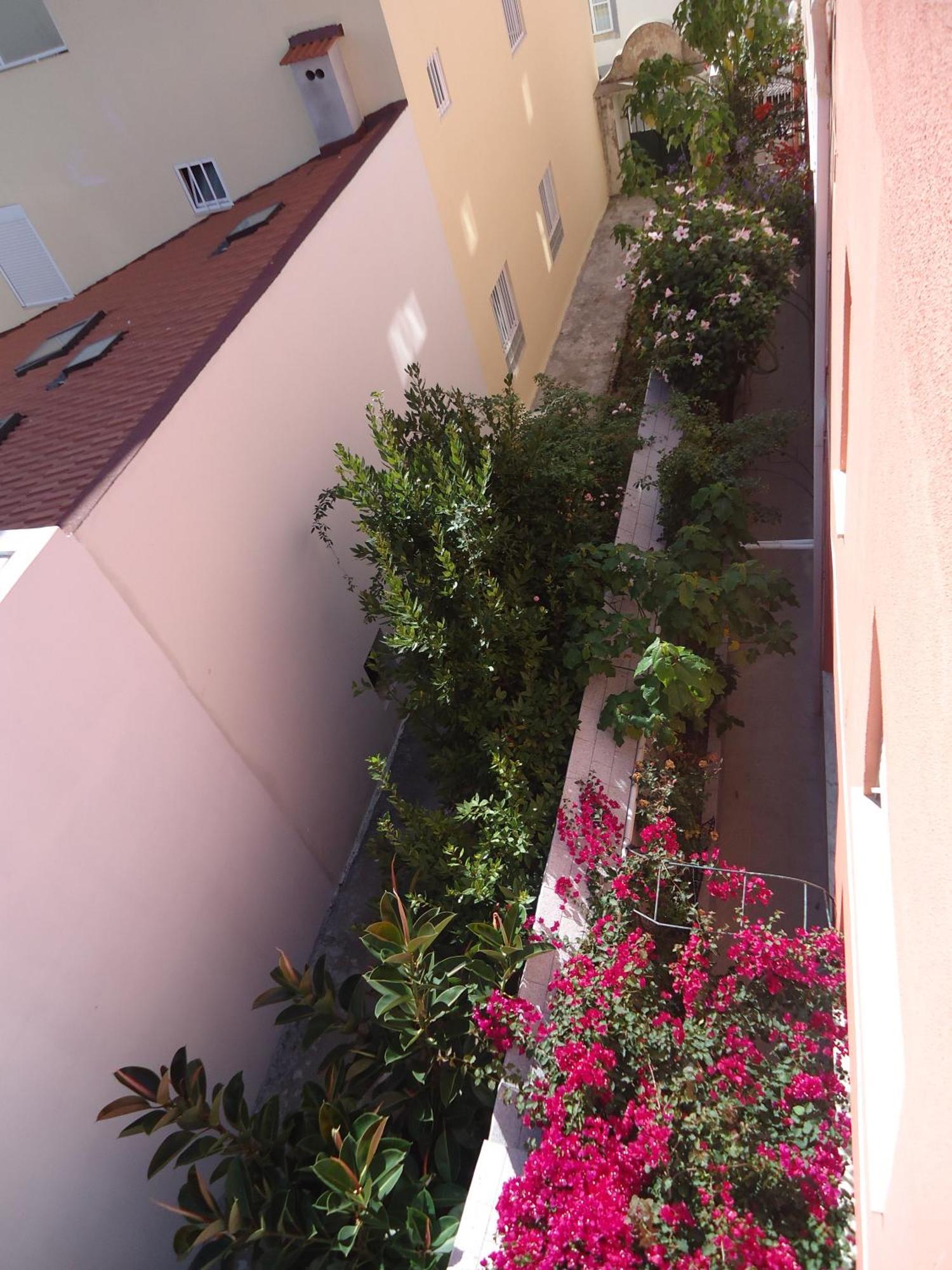 Hotel Aviz Figueira da Foz Eksteriør bilde